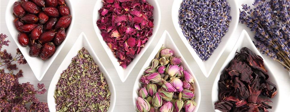 Giảm giá Trà hoa các loại